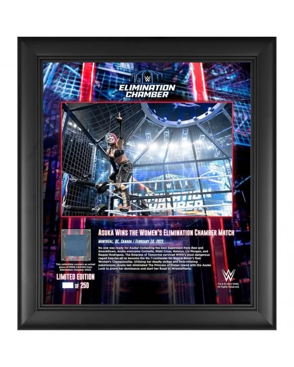 Asuka WWE Framed 15" x 17" 2023 Elimination Chamber Collage with a Piece of Match-Used Canvas - Limited Edition of 250 $19.04...