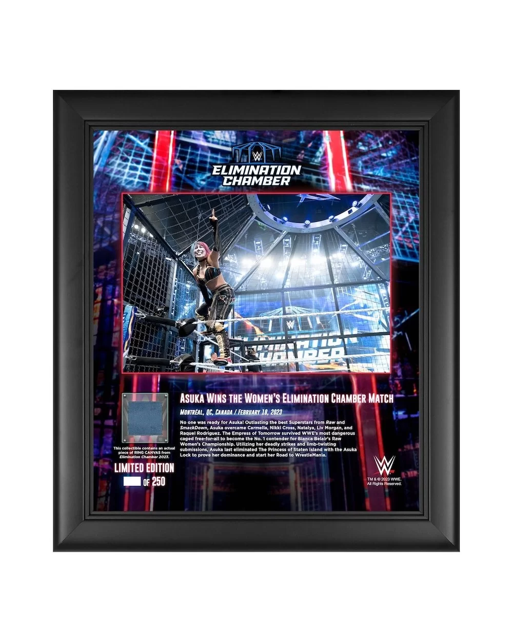 Asuka WWE Framed 15" x 17" 2023 Elimination Chamber Collage with a Piece of Match-Used Canvas - Limited Edition of 250 $19.04...