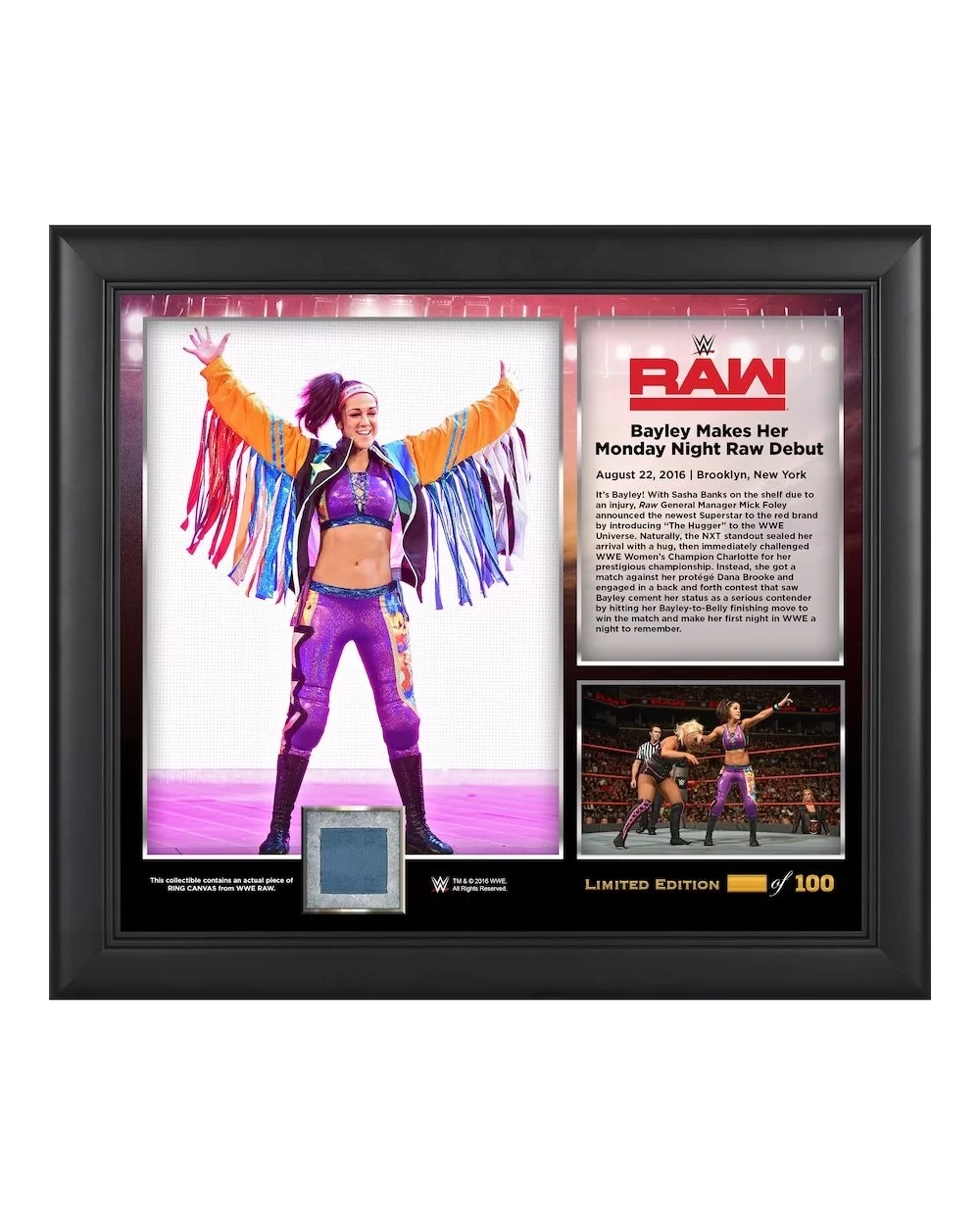 Bayley Framed 15" x 17" RAW Debut Collage with a Piece of Match-Used Canvas - Limited Edition of 199 $23.52 Home & Office