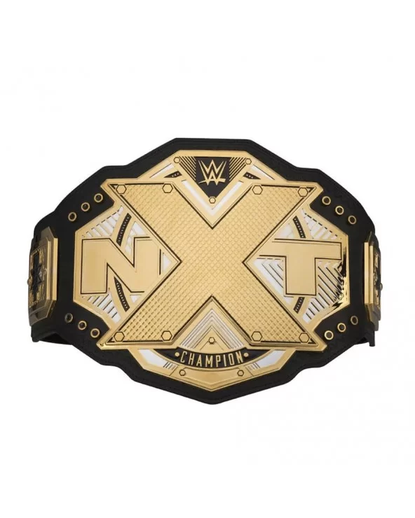 NXT Championship Replica Title Belt $76.16 Title Belts