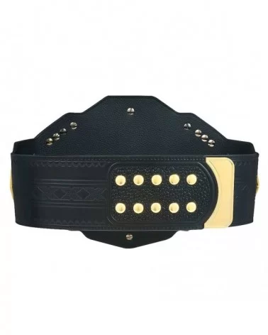 NXT Championship Replica Title Belt $76.16 Title Belts