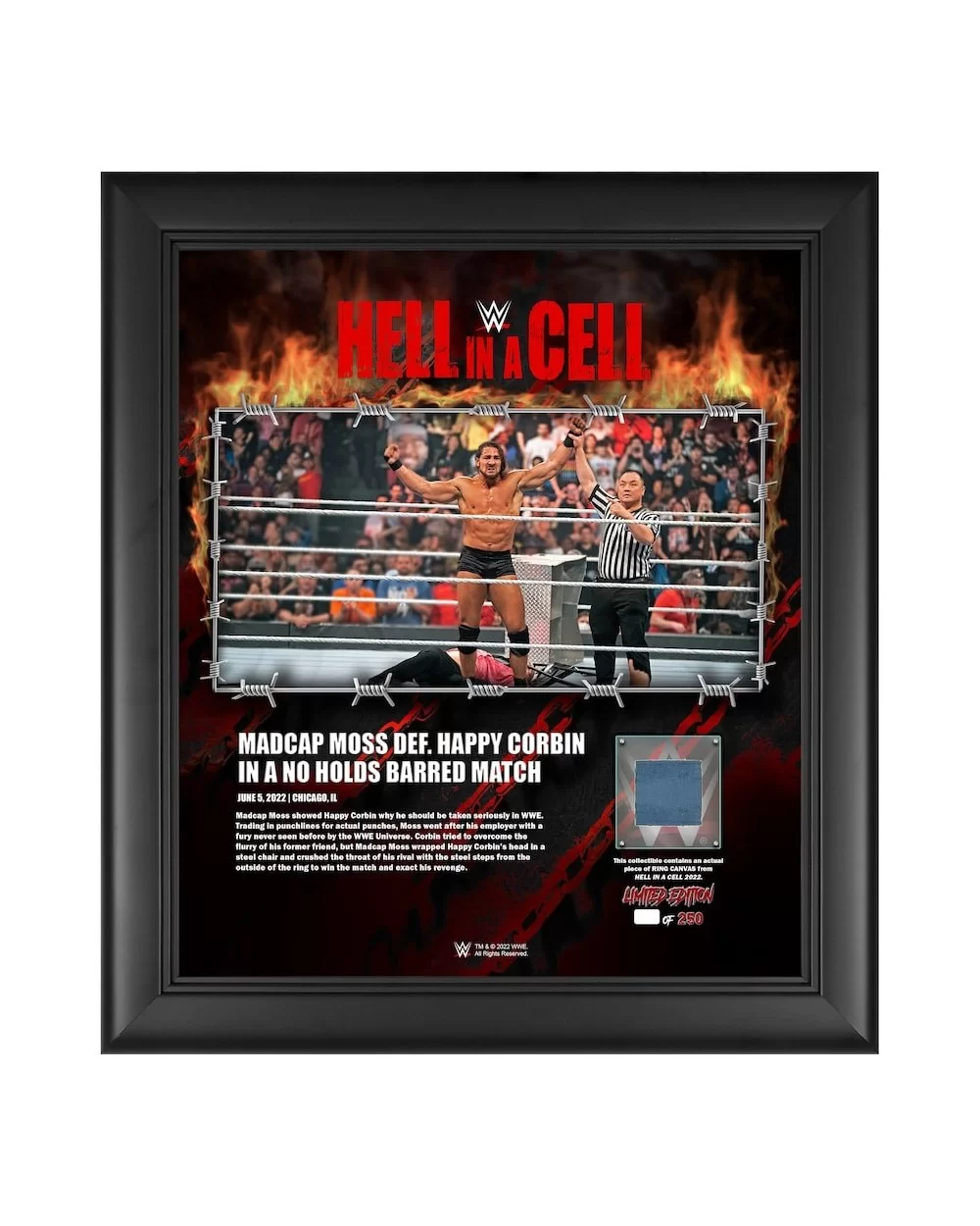 Madcap Moss Framed 15" x 17" 2022 Hell in a Cell Collage with a Piece of Match-Used Canvas - Limited Edition of 250 $17.36 Co...