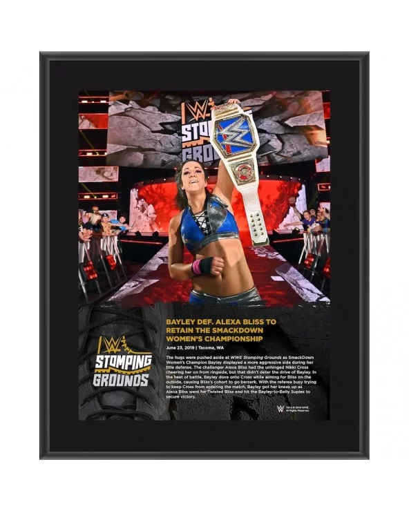 Bayley Framed 10.5" x 13" 2019 Stomping Grounds Sublimated Plaque $8.64 Collectibles