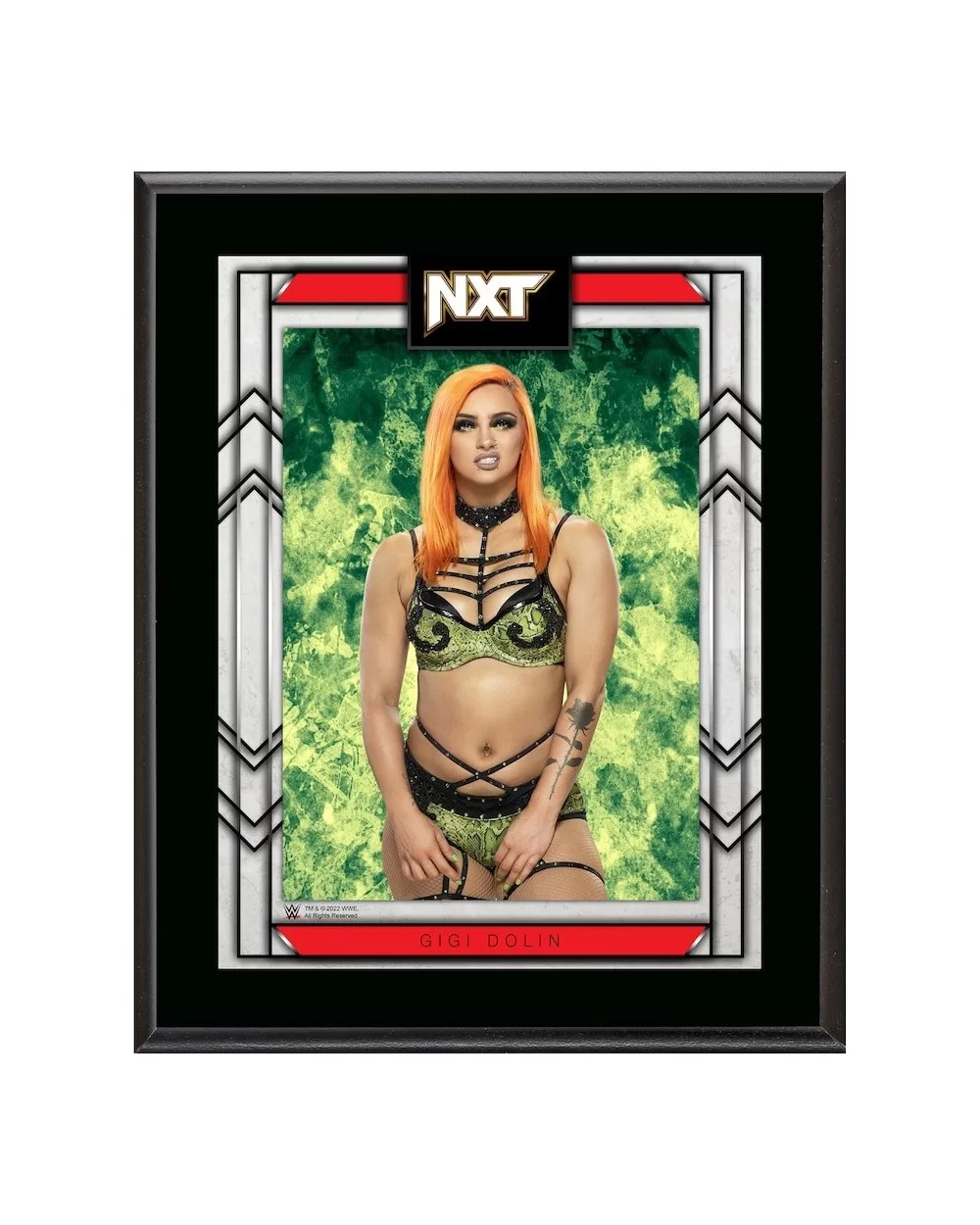 Gigi Dolin 10.5" x 13" NXT 2.0 Sublimated Plaque $8.64 Collectibles