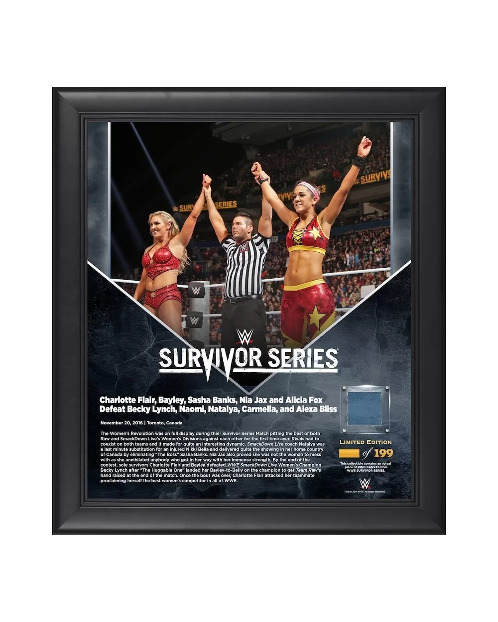 Bayley & Charlotte Flair Framed 15" x 17" 2016 Survivor Series Collage with a Piece of Match-Used Canvas - Limited Edition of...