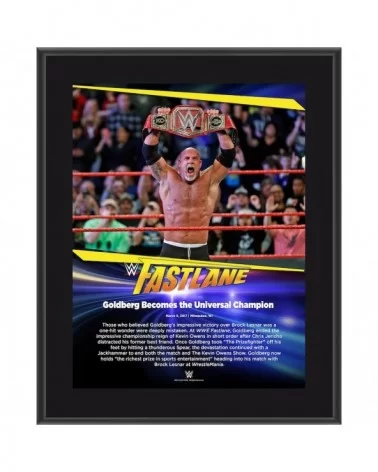 Goldberg 10.5" x 13" 2017 Fastlane Sublimated Plaque $7.44 Collectibles