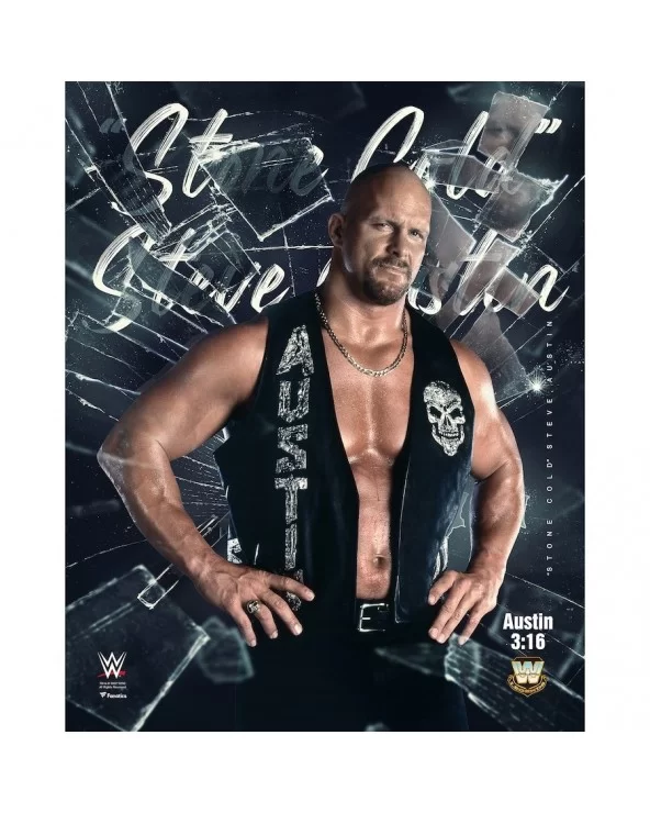 "Stone Cold" Steve Austin Unsigned 16" x 20" Shattered Photograph $7.00 Collectibles