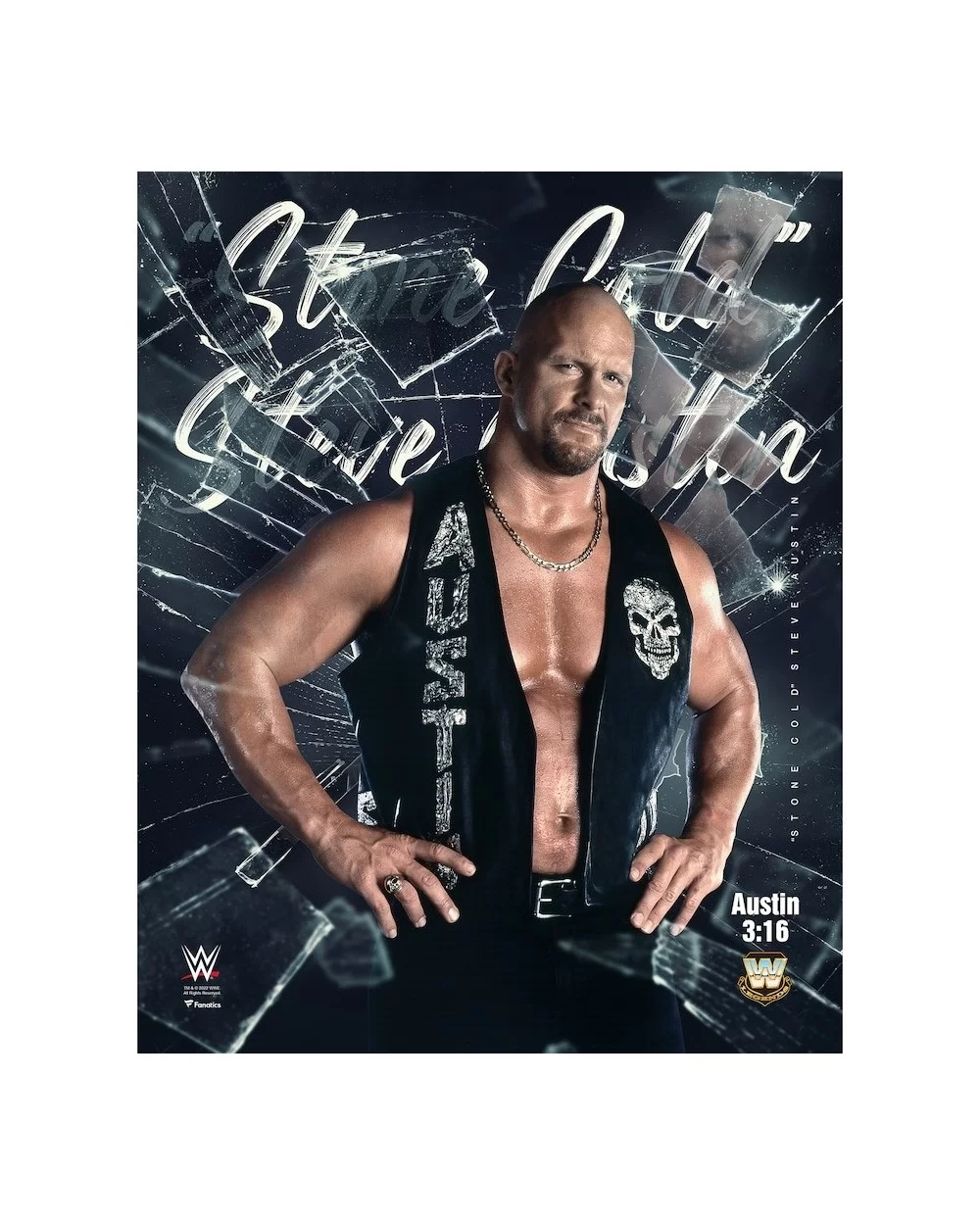 "Stone Cold" Steve Austin Unsigned 16" x 20" Shattered Photograph $7.00 Collectibles