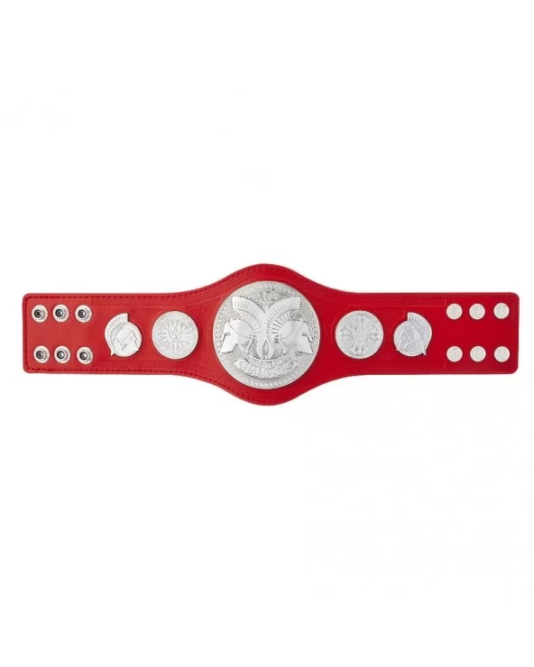 RAW Tag Team Championship Mini Replica Title Belt $19.60 Title Belts