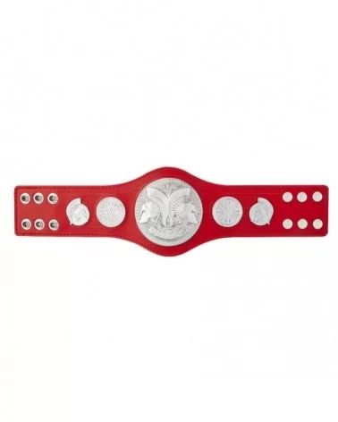 RAW Tag Team Championship Mini Replica Title Belt $19.60 Title Belts