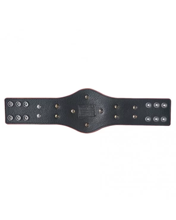 RAW Tag Team Championship Mini Replica Title Belt $19.60 Title Belts