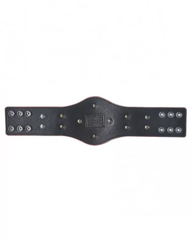 RAW Tag Team Championship Mini Replica Title Belt $19.60 Title Belts