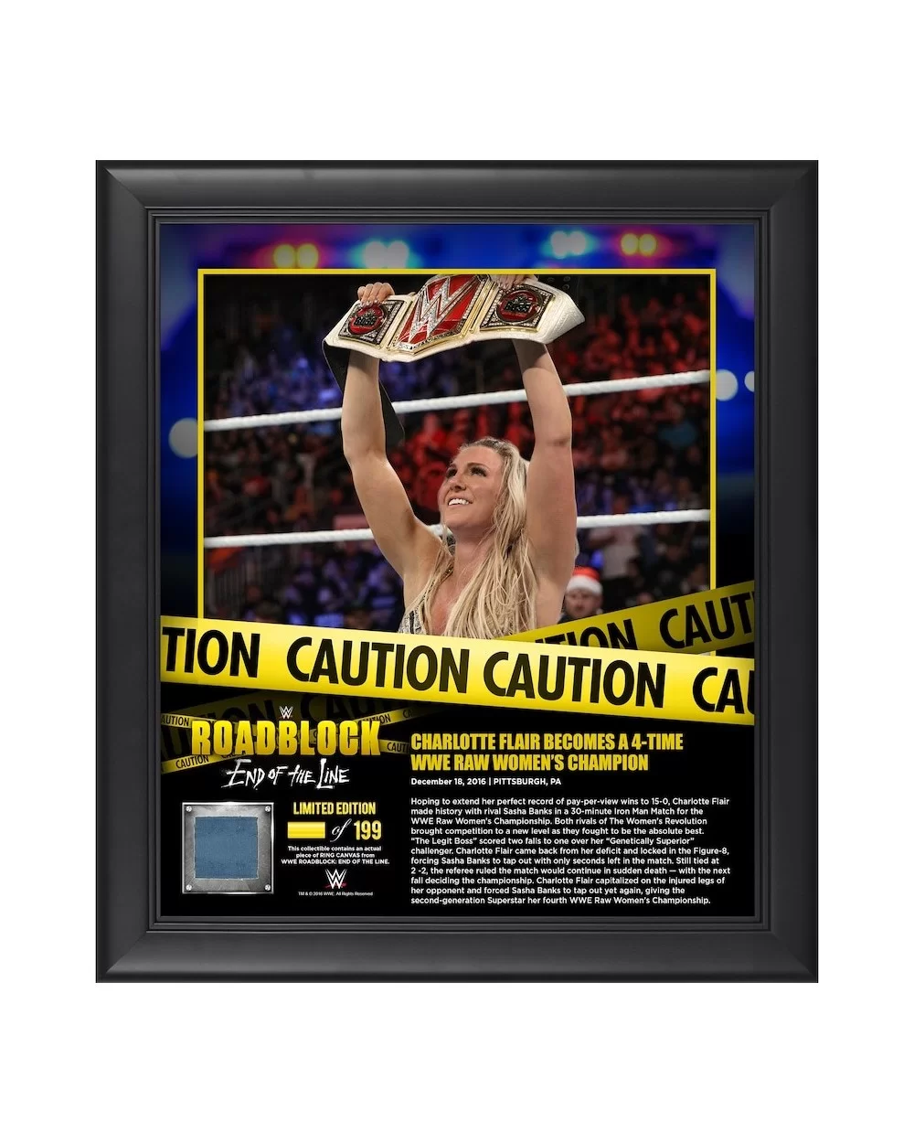 Charlotte Flair Framed 15" x 17" 2016 Roadblock Collage with a Piece of Match-Used Canvas - Limited Edition of 199 $16.80 Hom...