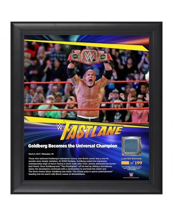 Goldberg Framed 15" x 17" 2017 Fastlane Collage with a Piece of Match-Used Canvas - Limited Edition of 199 $23.52 Collectibles