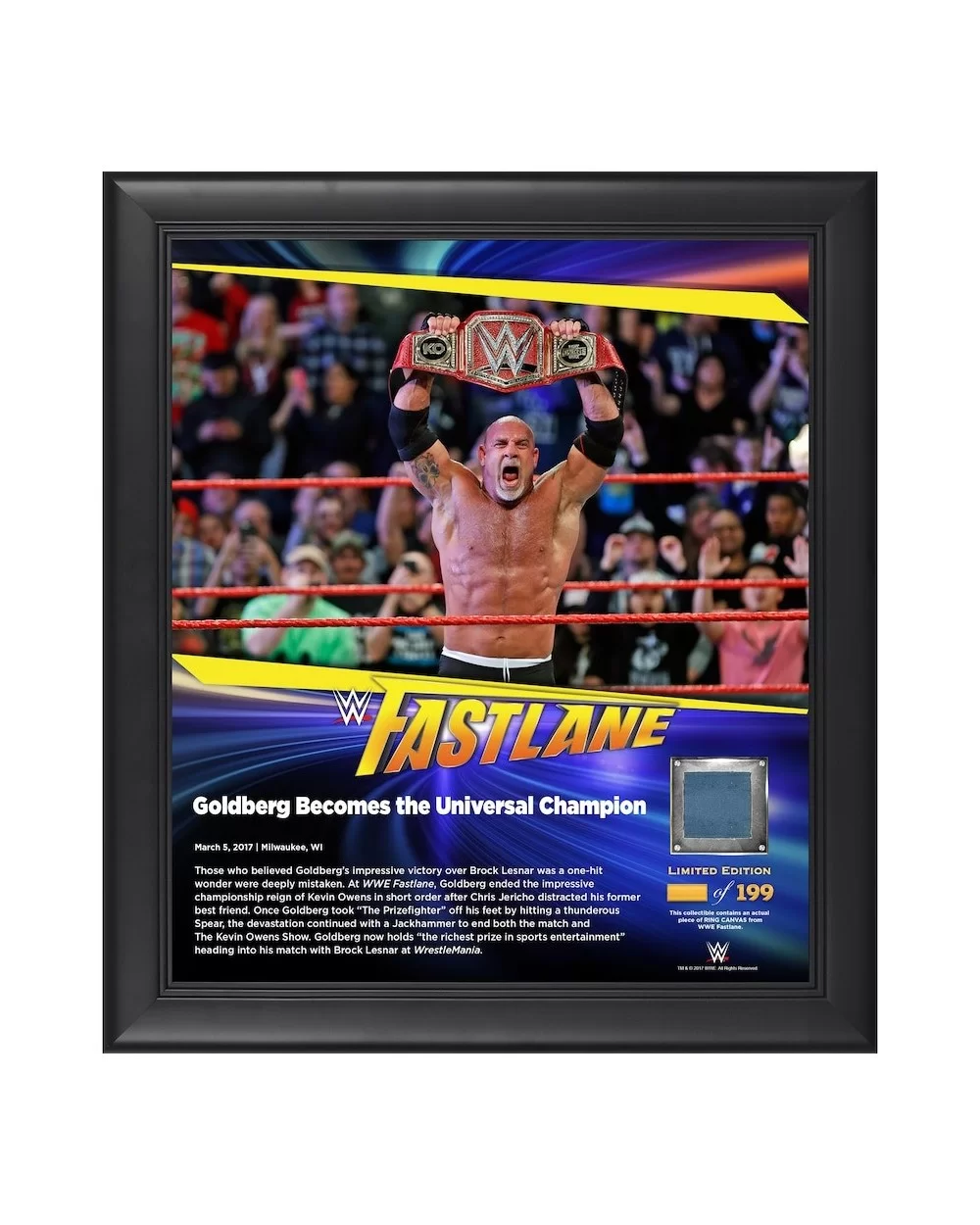 Goldberg Framed 15" x 17" 2017 Fastlane Collage with a Piece of Match-Used Canvas - Limited Edition of 199 $23.52 Collectibles