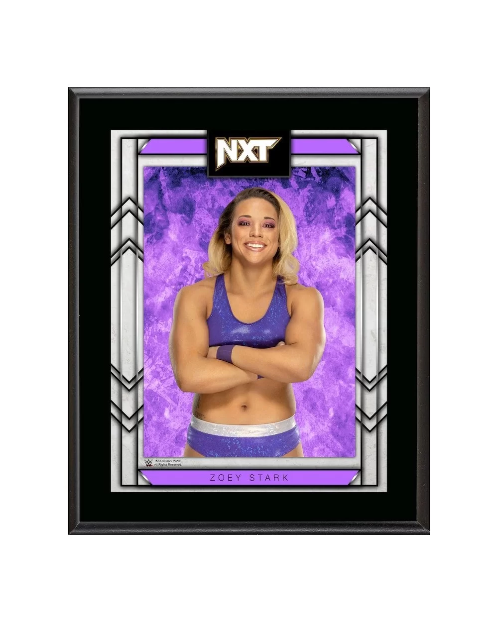 Zoey Stark 10.5" x 13" NXT 2.0 Sublimated Plaque $11.04 Collectibles