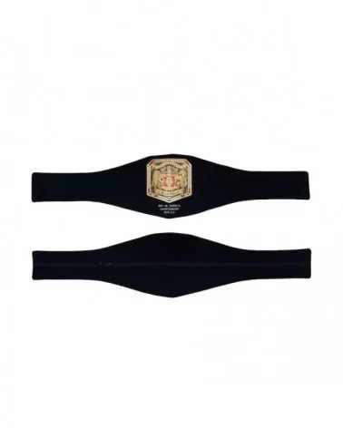 NXT Women's UK Championship Replica Title Belt $91.20 Collectibles