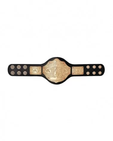 World Heavyweight Championship Mini Replica Title Belt $22.96 Belts