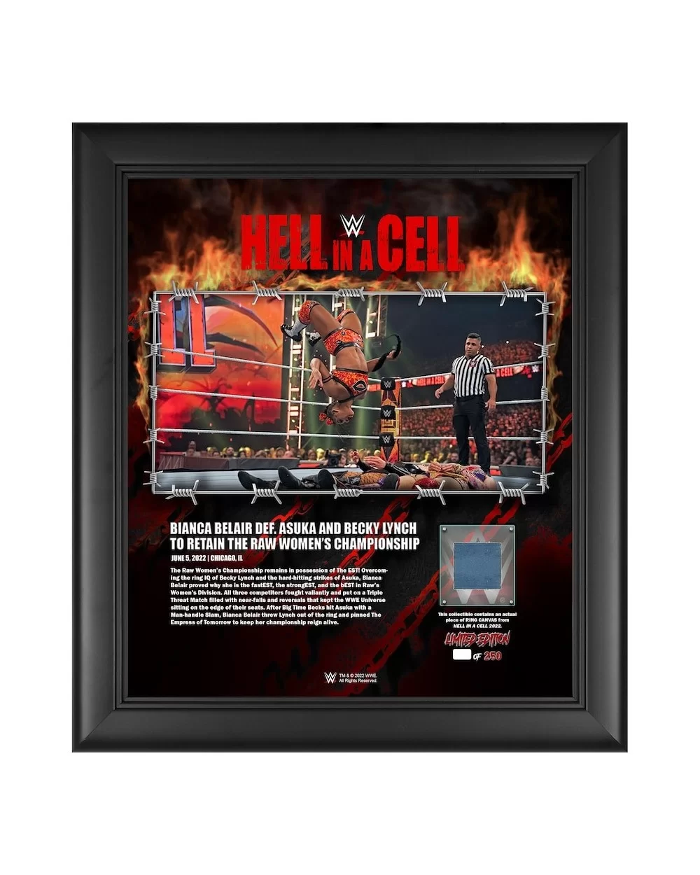 Bianca Belair WWE Framed 15" x 17" 2022 Hell in a Cell Collage with a Piece of Match-Used Canvas - Limited Edition of 250 $19...