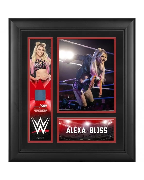 Alexa Bliss Framed 15" x 17" Collage with a Piece of Match-Used Canvas - Limited Edition of 500 $23.52 Home & Office