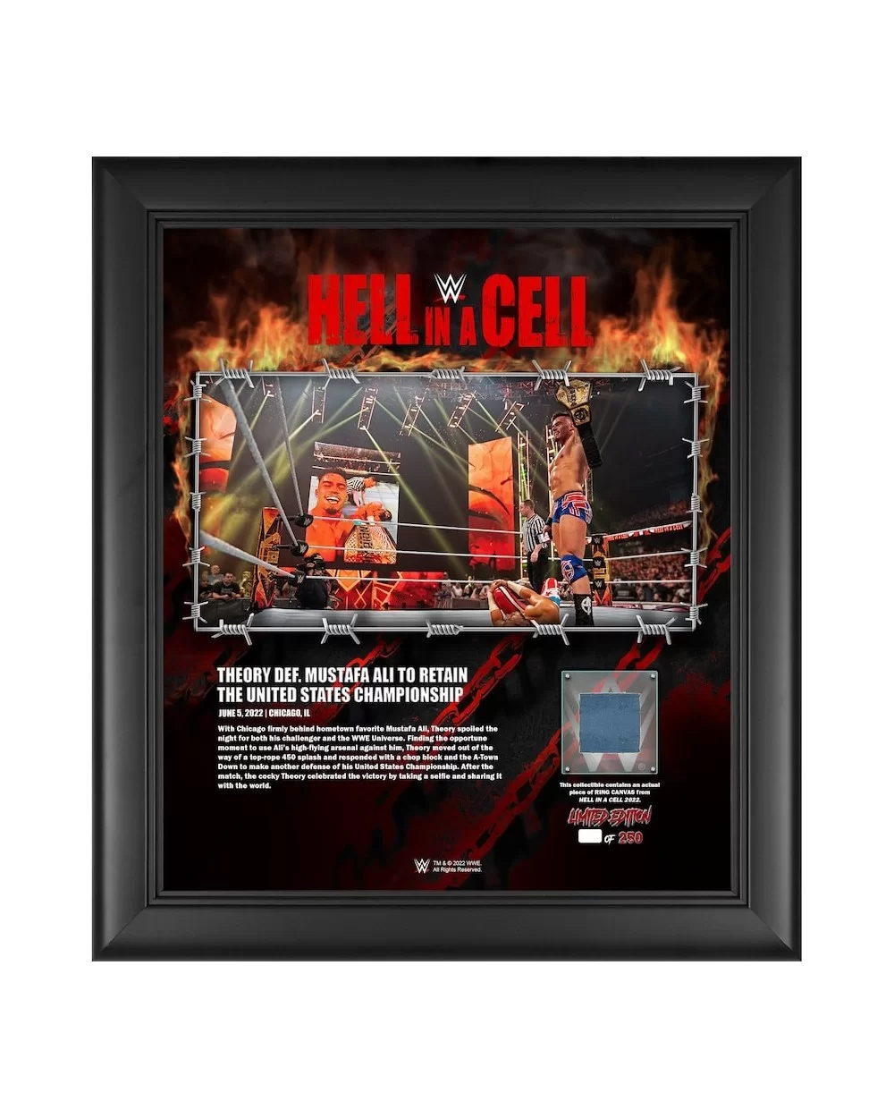 Theory Framed 15" x 17" 2022 Hell in a Cell Collage with a Piece of Match-Used Canvas - Limited Edition of 250 $24.08 Collect...