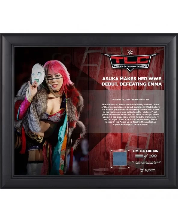 Asuka Framed 15" x 17" 2017 TLC Collage with a Piece of Match-Used Canvas - Limited Edition of 199 $27.44 Collectibles