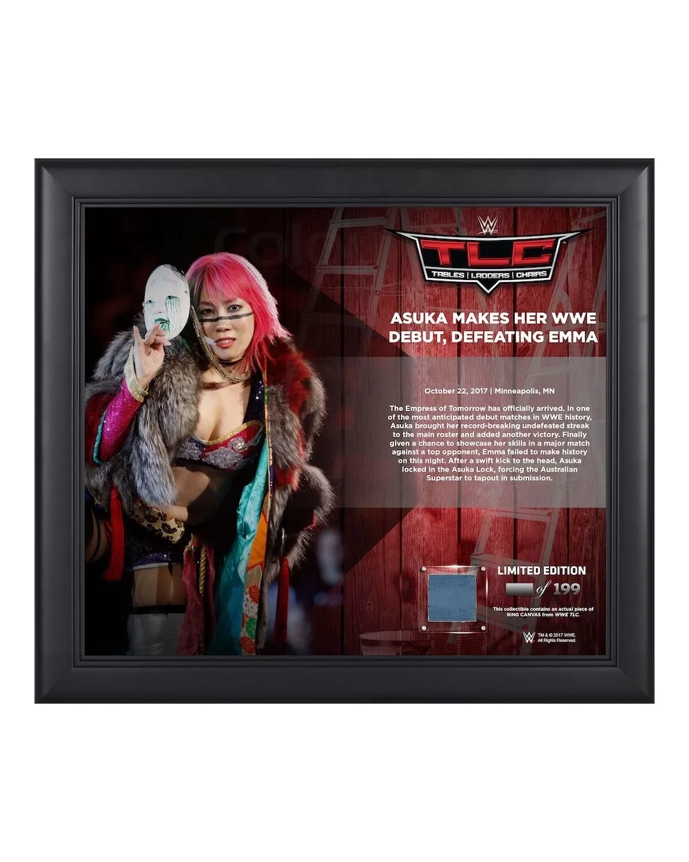 Asuka Framed 15" x 17" 2017 TLC Collage with a Piece of Match-Used Canvas - Limited Edition of 199 $27.44 Collectibles