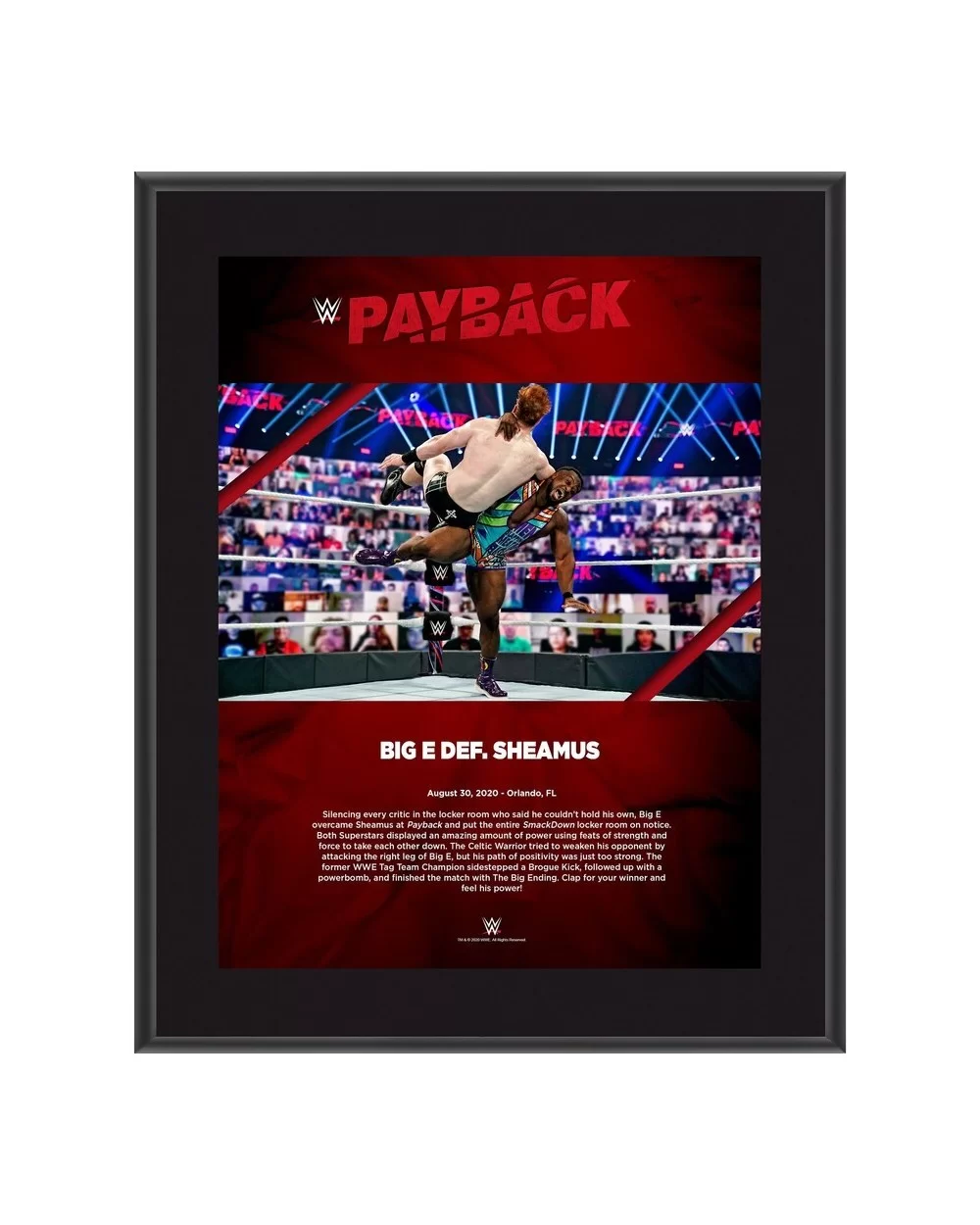 Big E Framed 10.5" x 13" 2020 Payback Sublimated Plaque $7.92 Home & Office