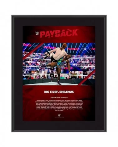 Big E Framed 10.5" x 13" 2020 Payback Sublimated Plaque $7.92 Home & Office