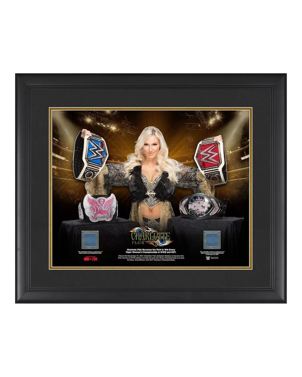 Charlotte Flair Framed 16" x 20" Every Championship Collage with Two Pieces of Match-Used Canvas - Limited Edition of 200 $45...