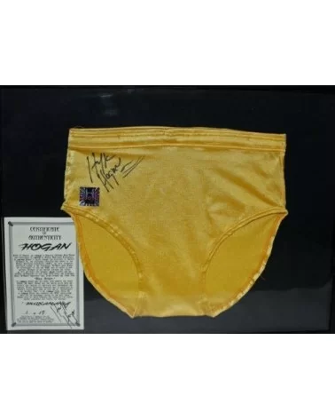 Ring worn Hulk Hogan signed Trunks $1,440.00 Signed Items