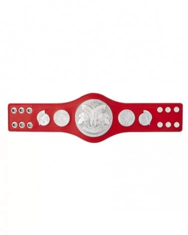 RAW Tag Team Championship Mini Replica Title Belt $18.48 Collectibles
