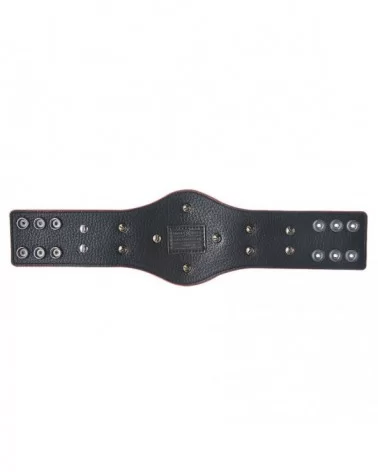 RAW Tag Team Championship Mini Replica Title Belt $18.48 Collectibles
