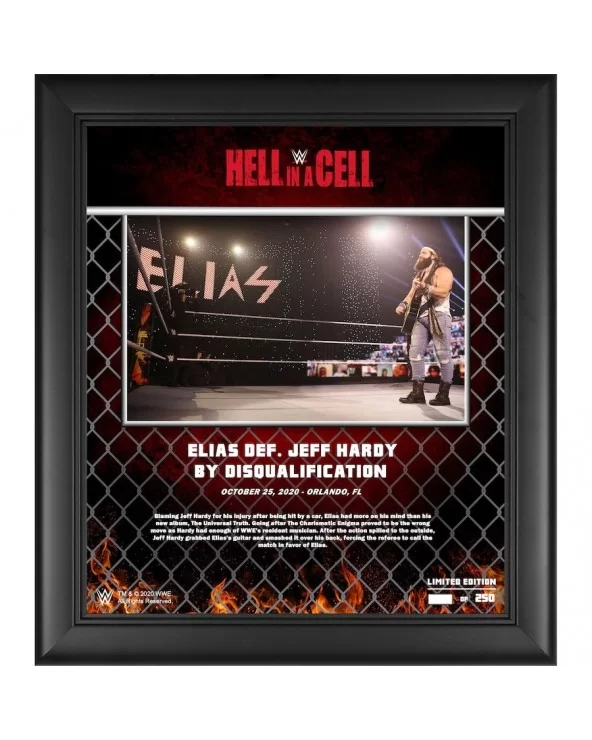 Elias WWE Framed 15" x 17" 2020 Hell In A Cell Collage - Limited Edition of 250 $16.80 Home & Office