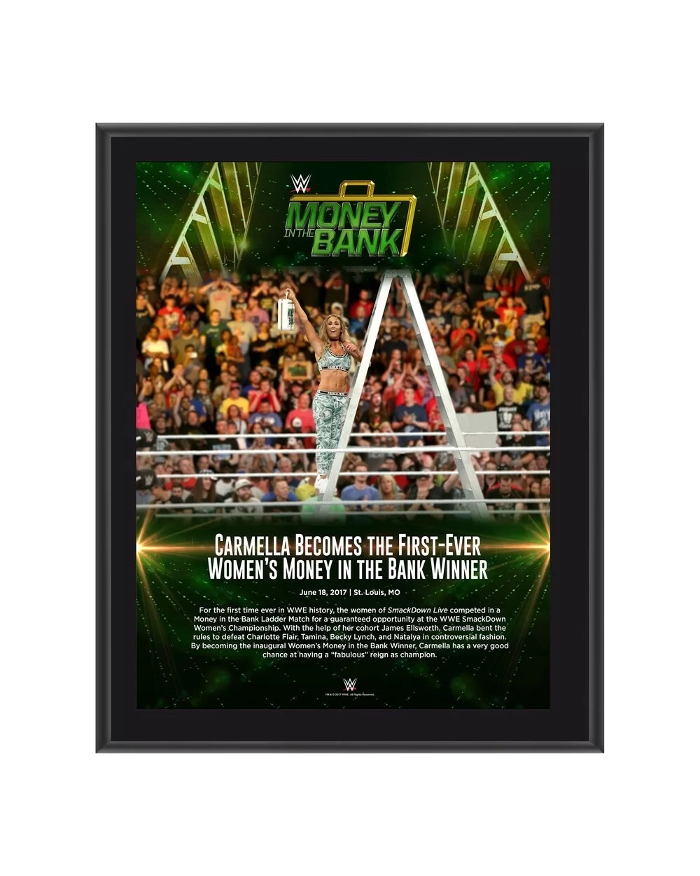 Carmella 10.5" x 13" 2017 Money In The Bank Sublimated Plaque $7.92 Home & Office