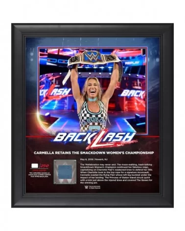 Carmella Framed 15" x 17" 2018 Backlash Collage with a Piece of Match-Used Canvas - Limited Edition of 250 $22.40 Collectibles