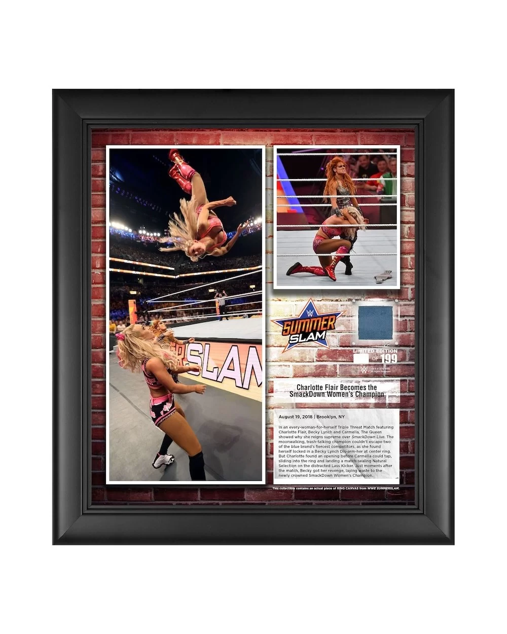 Charlotte Flair Framed 15" x 17" 2018 SummerSlam Collage with a Piece of Match-Used Canvas - Limited Edition of 199 $23.52 Co...