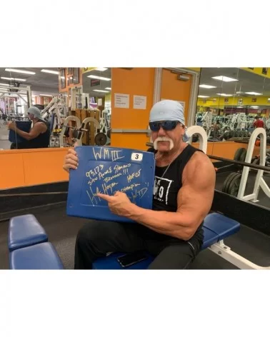 Hulk Hogan Signed Wrestlemania III Pontiac Sliverdome Seat 3 $432.00 Signed Items