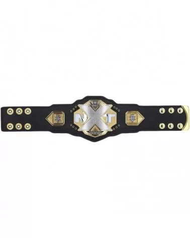 2017 NXT Women's Championship Mini Replica Title Belt $14.89 Collectibles