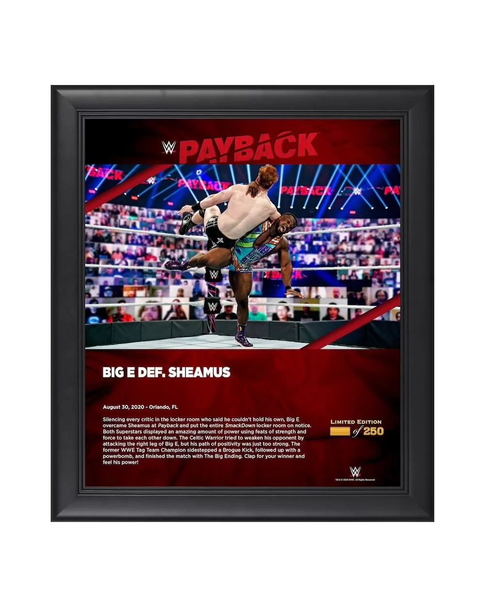 Big E 15" x 17" 2020 Payback Collage - Limited Edition of 250 $21.84 Home & Office