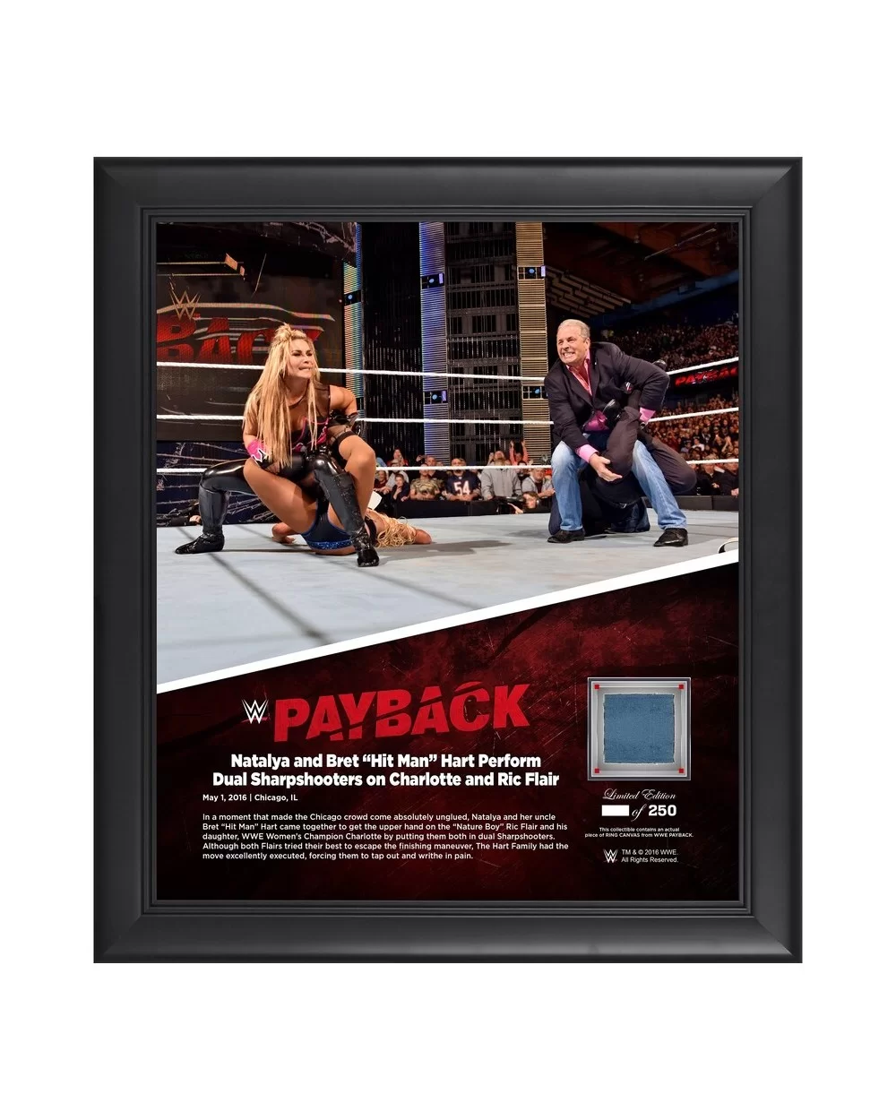 Natalya Framed 15" x 17" 2016 Payback Collage with a Piece of Match-Used Canvas - Limited Edition of 250 $16.80 Home & Office