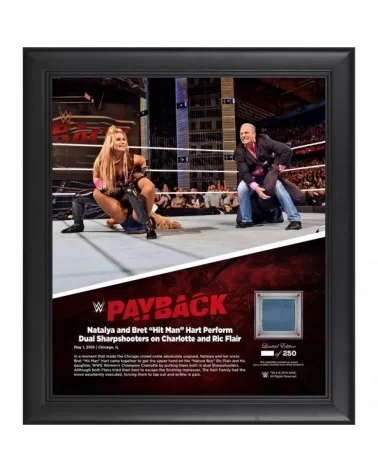 Natalya Framed 15" x 17" 2016 Payback Collage with a Piece of Match-Used Canvas - Limited Edition of 250 $16.80 Home & Office