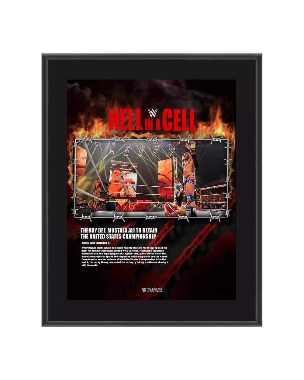 Theory 10.5" x 13" 2022 Hell in a Cell Sublimated Plaque $11.28 Collectibles