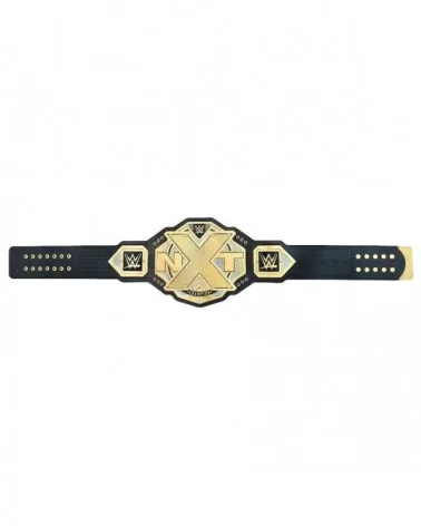 NXT Championship Commemorative Title Belt $51.80 Title Belts